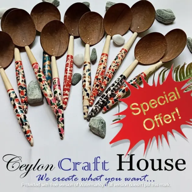 Handmade Coconut Shell Spoon| Sri Lankan Natural Kitchen Tools Equipment| Spoon rest| Serving spoon| colorful Spoon| rice serving spoon