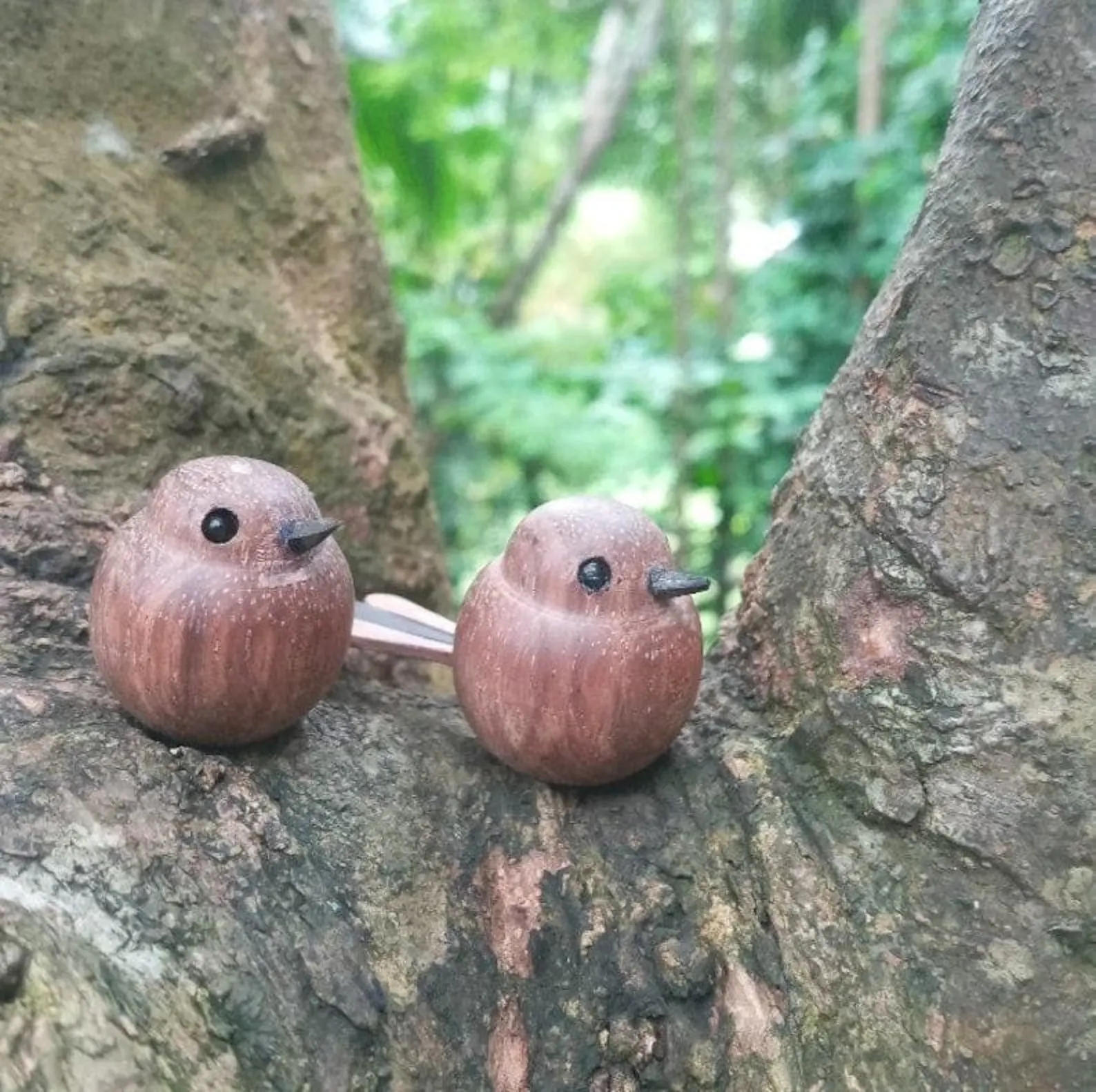 Wooden Birds | uccellini i scultura in legno | roble macizo escultura | uccellini legno | dekovögel1 | Holzvögel | ahşap kuşlar | træfugle | - Image 3