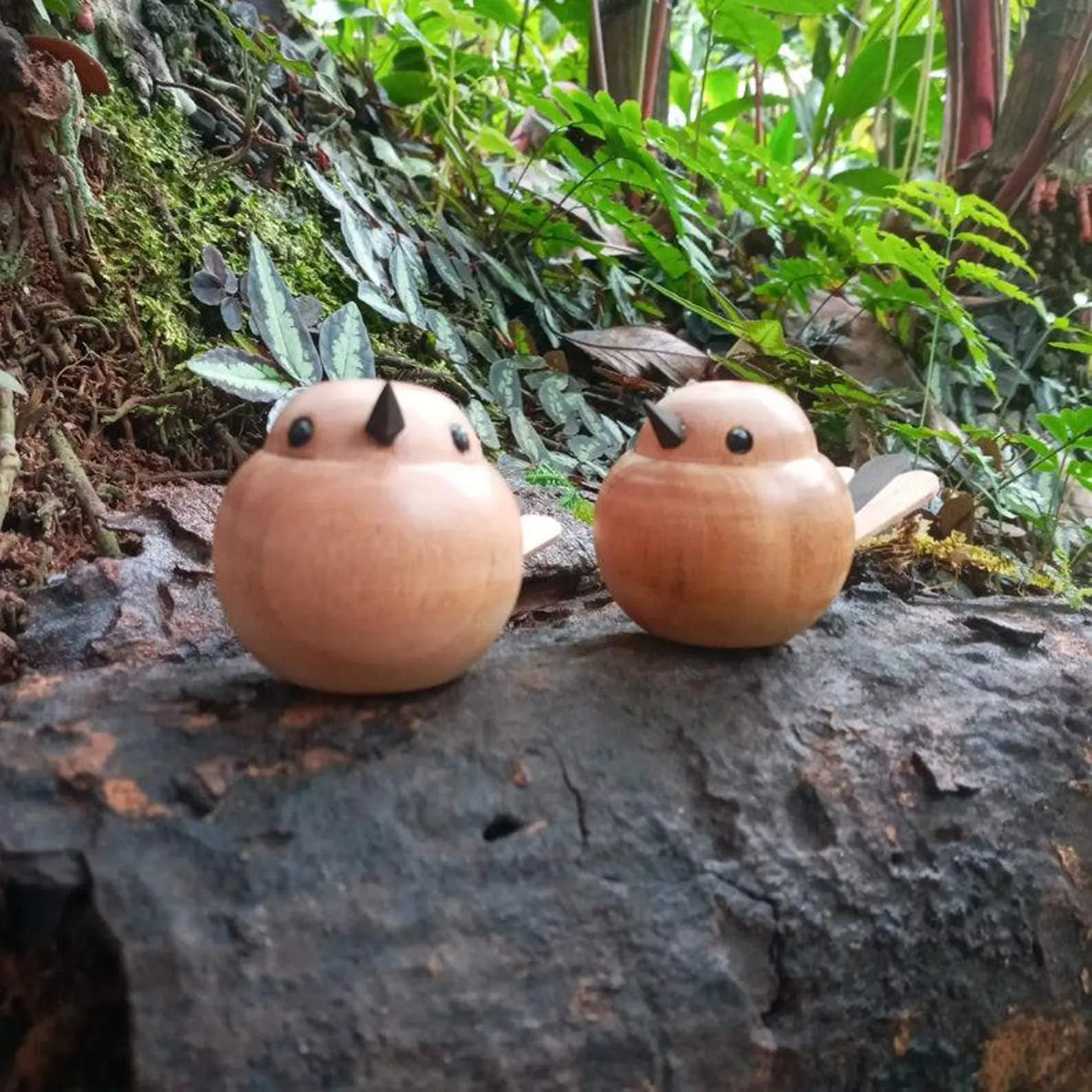 Wooden Birds | uccellini i scultura in legno | roble macizo escultura | uccellini legno | dekovögel1 | Holzvögel | ahşap kuşlar | træfugle | - Image 5