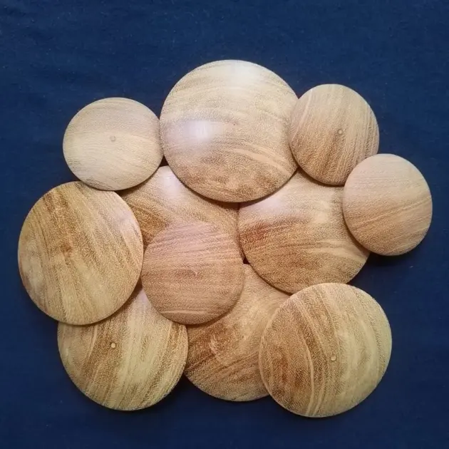 10 Nature's Circles,Rustic Wooden Discs,Enchanted Wooden Discs,wooden disc,organic wood rounds,Round Wood Pieces,Natural Wood Discs