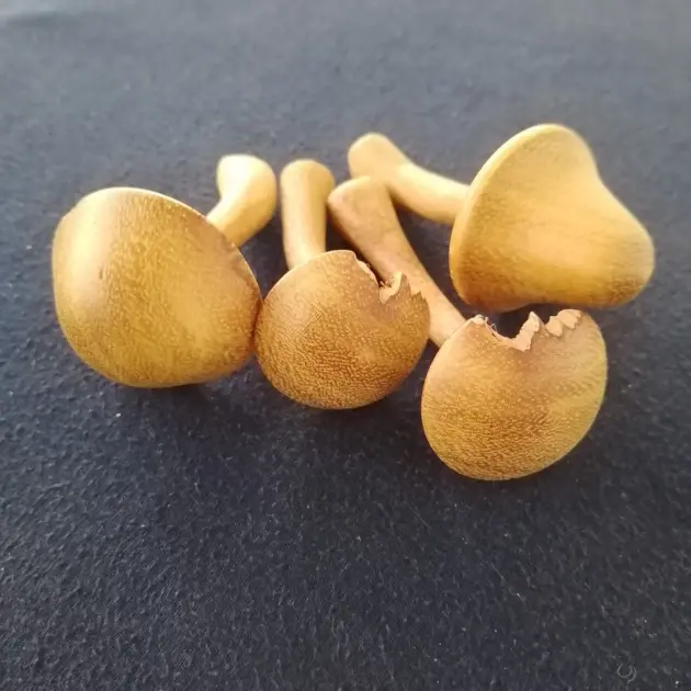 Handcrafted Wooden Mushrooms,Decorative Wooden Mushrooms,Rustic Wood Mushrooms,Indoor Wooden Mushroom Decor,Artisanal Eco-Friendly Mushrooms
