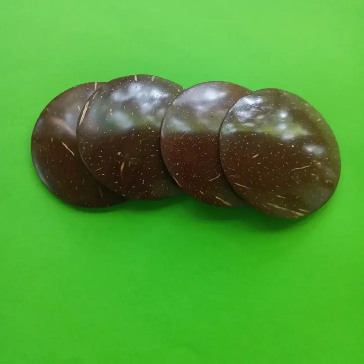 Chamalongos Set of 4 Coconut Shell | Divination Shells | Spiritual ...