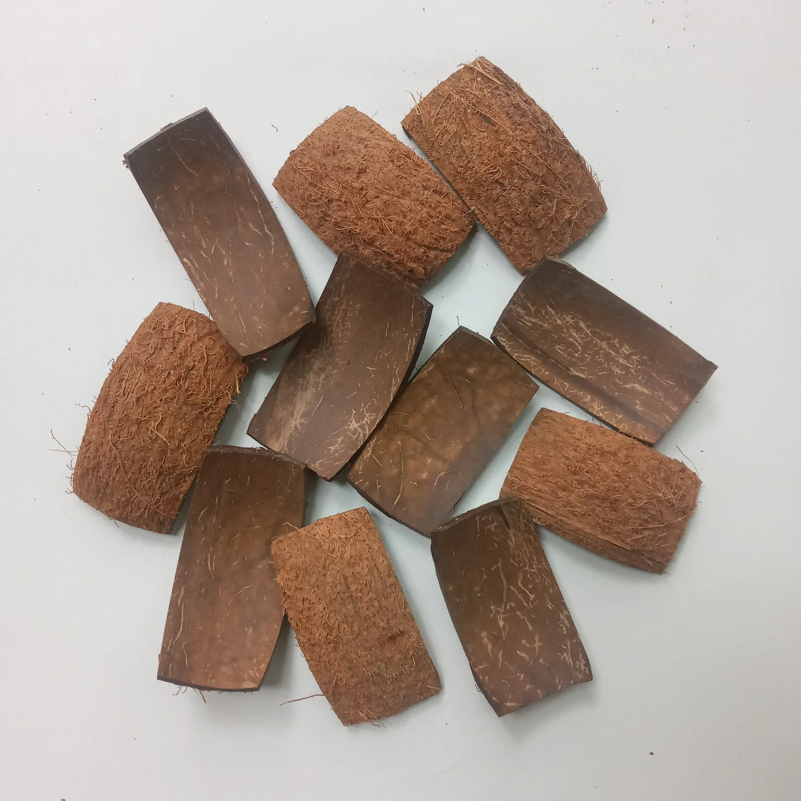 Rectangle shape coconut shell chips to make your craft items | coconut shells | Coconut products - Image 8