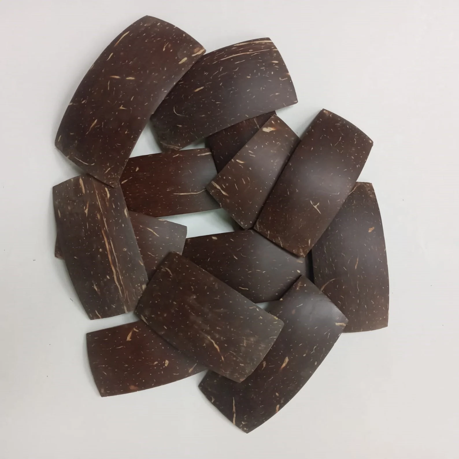 Rectangle shape coconut shell chips to make your craft items | coconut shells | Coconut products - Image 5