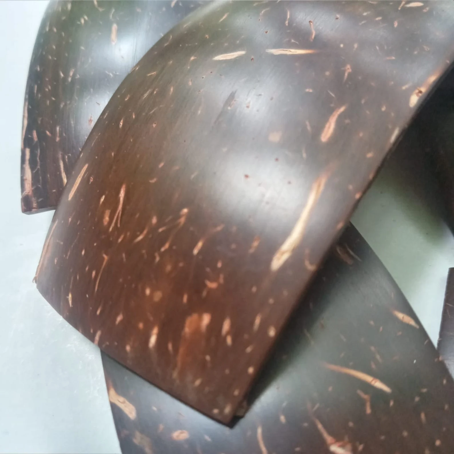 Rectangle shape coconut shell chips to make your craft items | coconut shells | Coconut products - Image 2