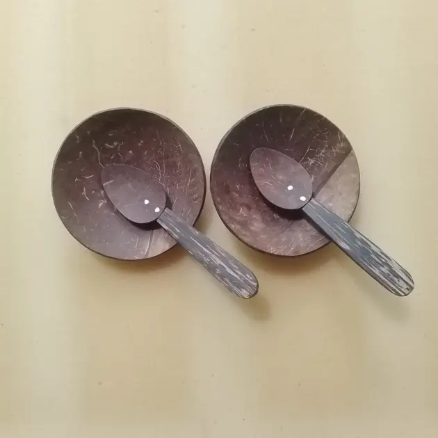 Set of Two Coconut Shell Dishes and Spoons,Tropical serving set,Eco friendly kitchenware,Coconut shell dish set Natural Organic Sustainable