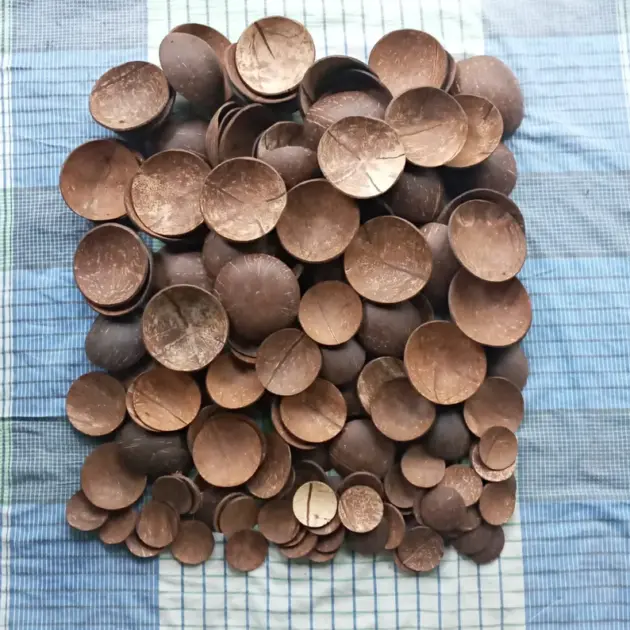 25 pieces of Various sizes 100% natural coconut shells | Coconut shell