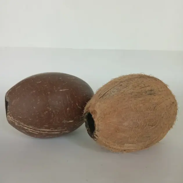 10 Whole empty out coconut shells